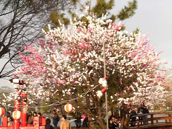 2010040316430000.jpg