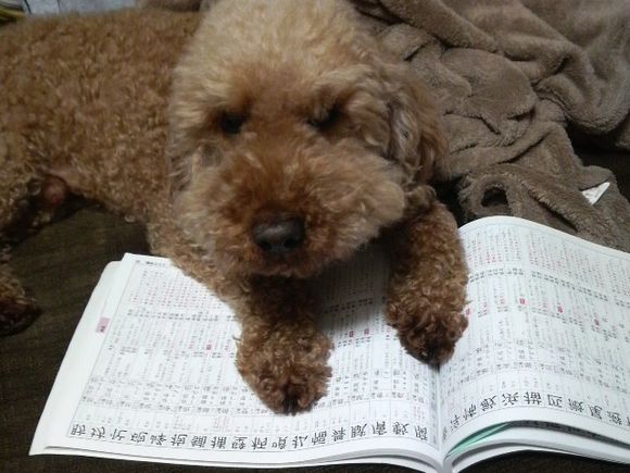 2010040623150000.jpg