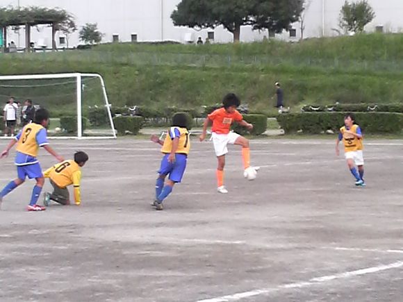 2010101716010000.jpg