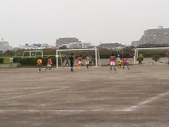 2010101716010000.jpg