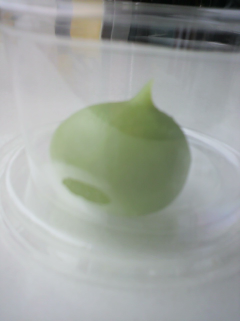 2011082115100000.jpg