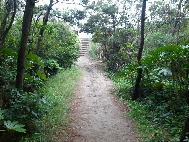 2011-10-15 09.14.34
