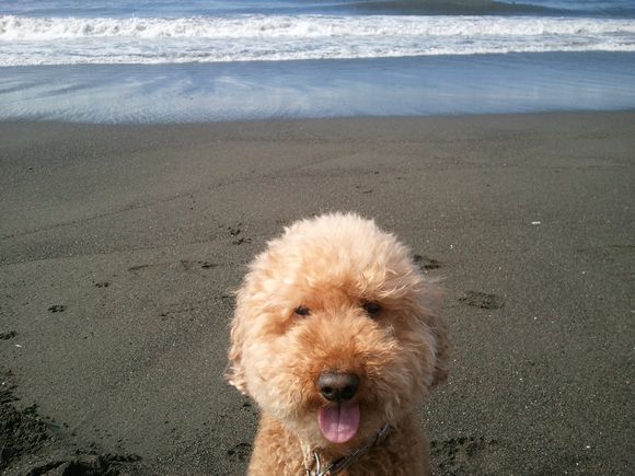 2012-05-04 07.30.15.jpg