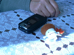 Photo_10